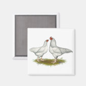 Ixworth Chickens Magnet (Vorderseite/Rückseite)
