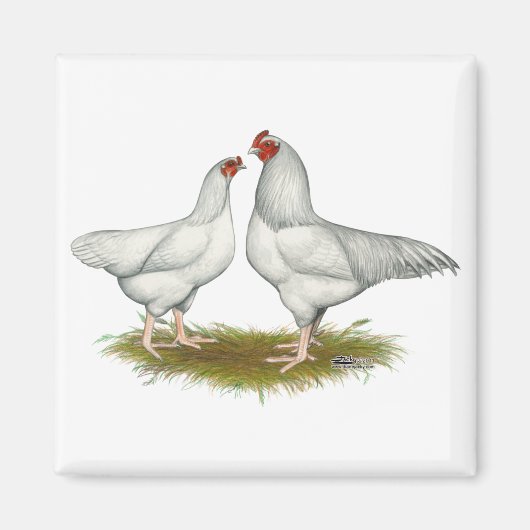 Ixworth Chickens Magnet (Vorne)