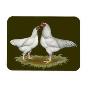 Ixworth Chickens Magnet