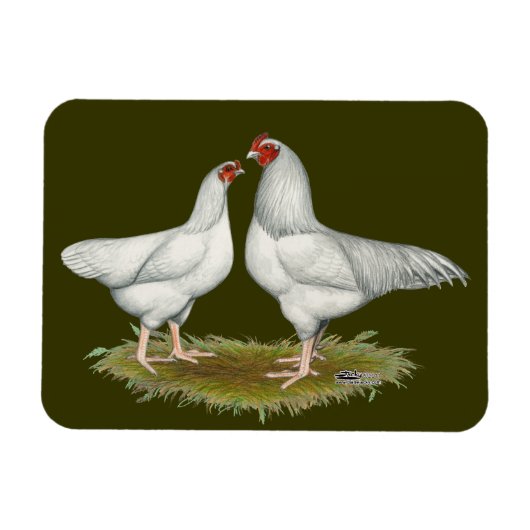 Ixworth Chickens Magnet (Horizontal)