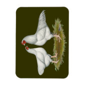 Ixworth Chickens Magnet (Vertikal)