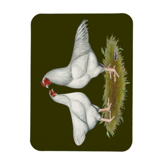 Ixworth Chickens Magnet (Vertikal)