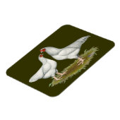 Ixworth Chickens Magnet (Linke Seite)