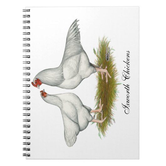 Ixworth Chickens Notizblock (Vorderseite)