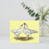 Ixworth Chickens Postkarte (Stehend Vorderseite)