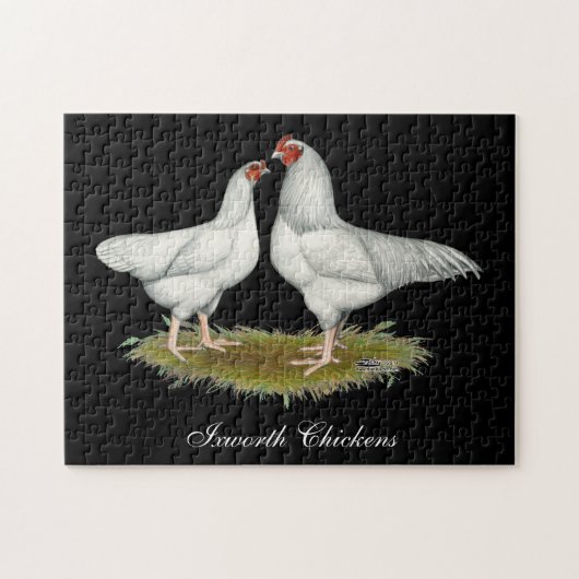 Ixworth Chickens Puzzle (Horizontal)
