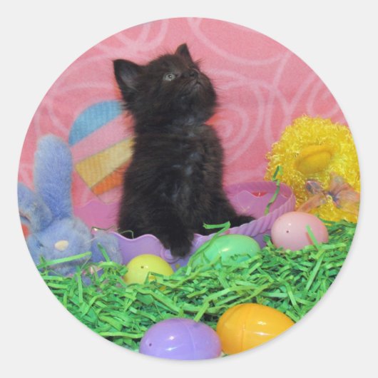 Iz Da Easter Bunny Here yet - Katze / Kitten Stick Runder Aufkleber (Vorderseite)