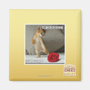 Iz, das Milliamperestunden-Tango übt Magnet