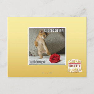 Iz, das Milliamperestunden-Tango übt Postkarte