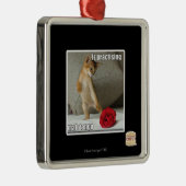 Iz, das Milliamperestunden-Tango übt Silbernes Ornament (Rechts)