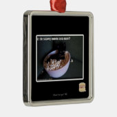 Iz de scawy Film Eva jetzt? Silbernes Ornament (Rechts)