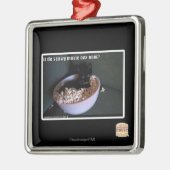 Iz de scawy Film Eva jetzt? Silbernes Ornament (Links)