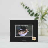 Iz de scawy Film ova jetzt? Postkarte (Stehend Vorderseite)