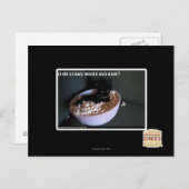 Iz de scawy Film ova jetzt? Postkarte (Vorne/Hinten)