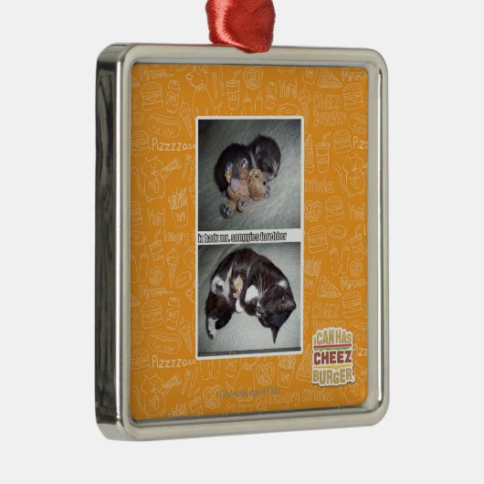 iz hadz Herr Snuggies Forebber Silbernes Ornament (Rechts)