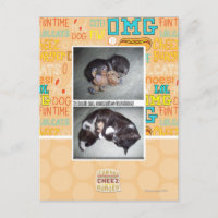 iz hadz mr. snuggies forebber