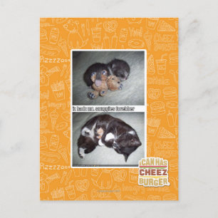 iz hadz mr. snuggies forebber postkarte