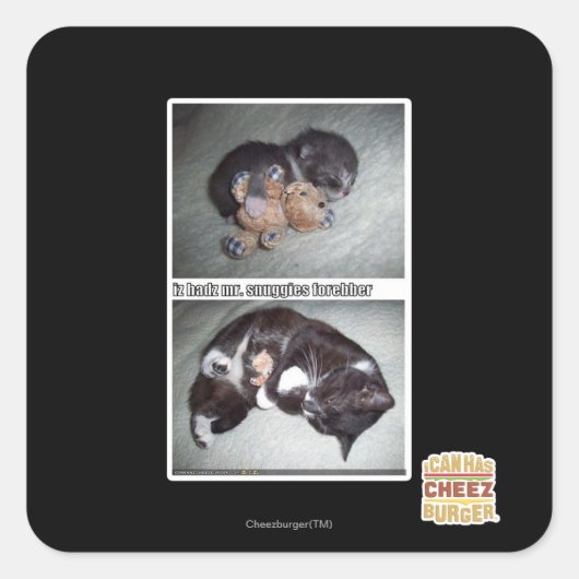 iz hadz mr. snuggies forebber quadratischer aufkleber (Vorderseite)