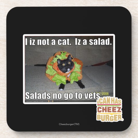 Iz I nicht eine Katze. Iz ein Salat Getränkeuntersetzer (Vorderseite)