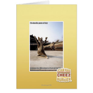 Iz I shaolin Tatzen der Wut