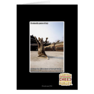 Iz I shaolin Tatzen der Wut