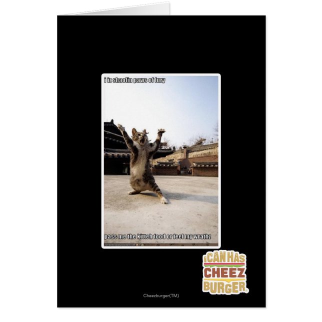 Iz I shaolin Tatzen der Wut (Vorne)