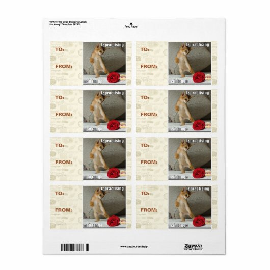 Iz übt Mah Tango (Vorne)