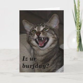 Iz ur burfday? humorvolle Foto Geburtstagskarte Karte
