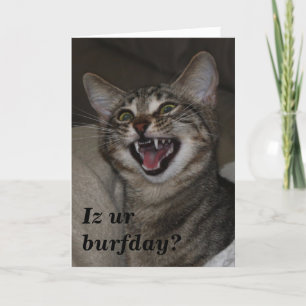 Iz ur burfday? humorvolle Foto Geburtstagskarte Karte