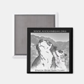 Iznachi Bear Sanctuary Magnet (Vorderseite/Rückseite)