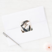 J.J. Audubon (Goshawk, Stanley Hawk) (1829) Quadratischer Aufkleber (Umschlag)