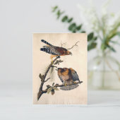 J.J. Audubon (Red Shoultered Hawk) (1829) Postkarte (Stehend Vorderseite)