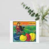 J.M.L. Apple Crate LabelWatsonville, CA Postkarte (Stehend Vorderseite)