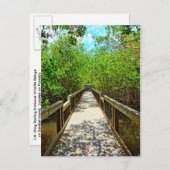 J N Ding Darling National Wildlife Refugium Postca Postkarte (Vorne/Hinten)