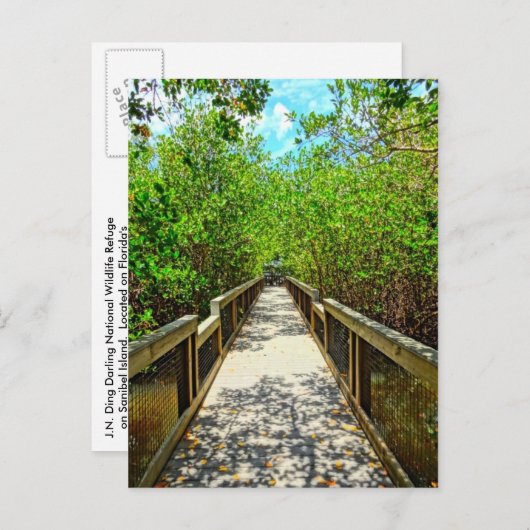J N Ding Darling National Wildlife Refugium Postca Postkarte (Vorne/Hinten)