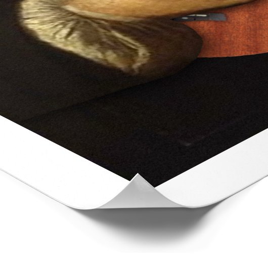 J.S. Bach über Uke Poster (Ecke)