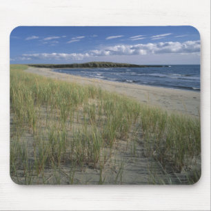 J.T. Chessman Provincial Park, Dünen Gras Mousepad