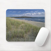 J.T. Chessman Provincial Park, Dünengras Mousepad (Mit Mouse)
