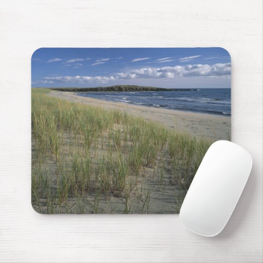 J.T. Chessman Provincial Park, Dünengras Mousepad (Mit Mouse)