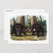 J.W. Audubon - Ursus Americanus Black Bar Postkarte (Vorne/Hinten)