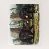 J.W. Audubon - Ursus Americanus Black Bar Puzzle (Vertikal)