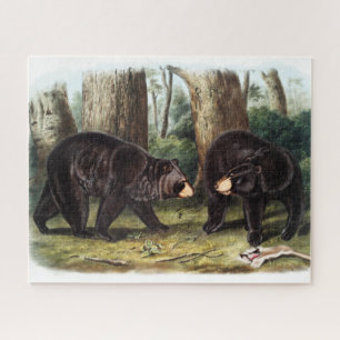 J.W. Audubon - Ursus Americanus Black Bar Puzzle