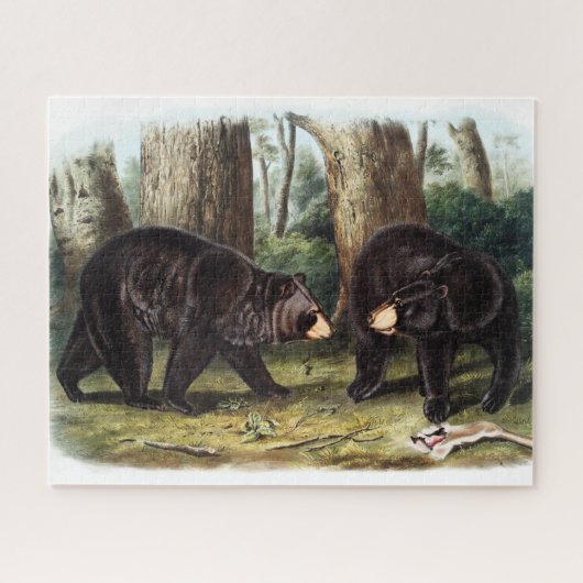 J.W. Audubon - Ursus Americanus Black Bar Puzzle (Horizontal)