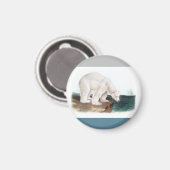 J.W. Audubon - Ursus Maritimus Magnet (Vorderseite/Rückseite)