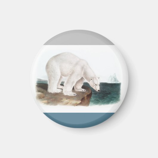 J.W. Audubon - Ursus Maritimus Magnet (Vorne)