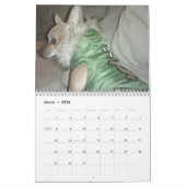 Ja Chihuahua 2011 Kalender (Mär 2026)
