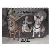 Ja Chihuahua 2011 Kalender (Titelbild)