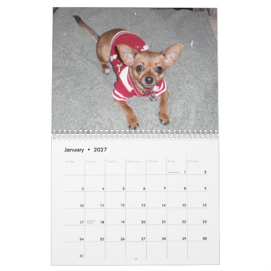 Ja Chihuahua 2011 Kalender (Jan 2027)