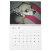 Ja Chihuahua 2011 Kalender (Feb 2027)