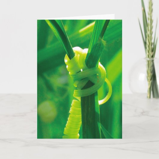 Ja, das kannst du! Rosie the Riveter Tendril Vine Karte (Vorderseite)